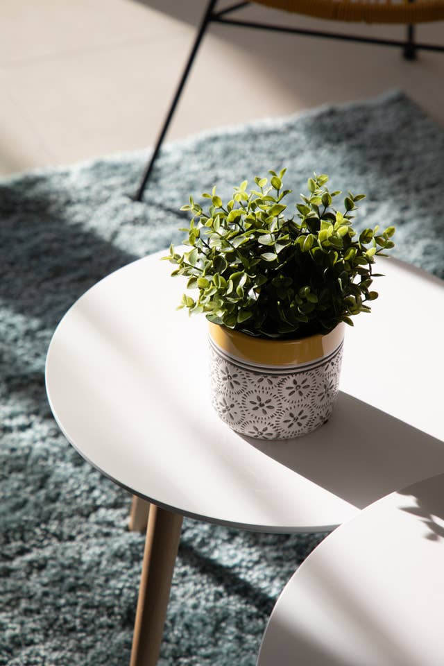Campbelltown — Display apartment styling