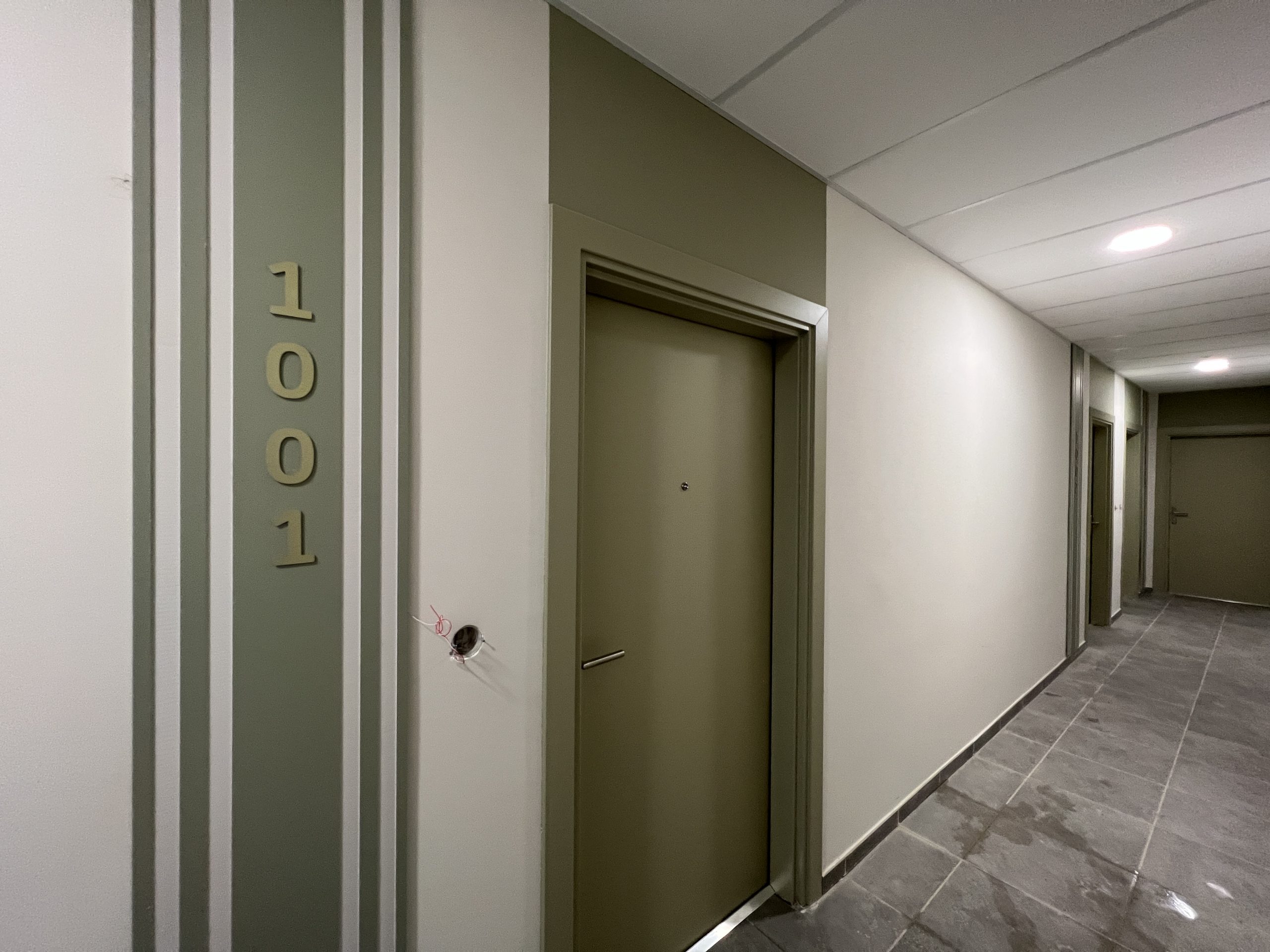 Rostrevor — Residence styling — photo 1