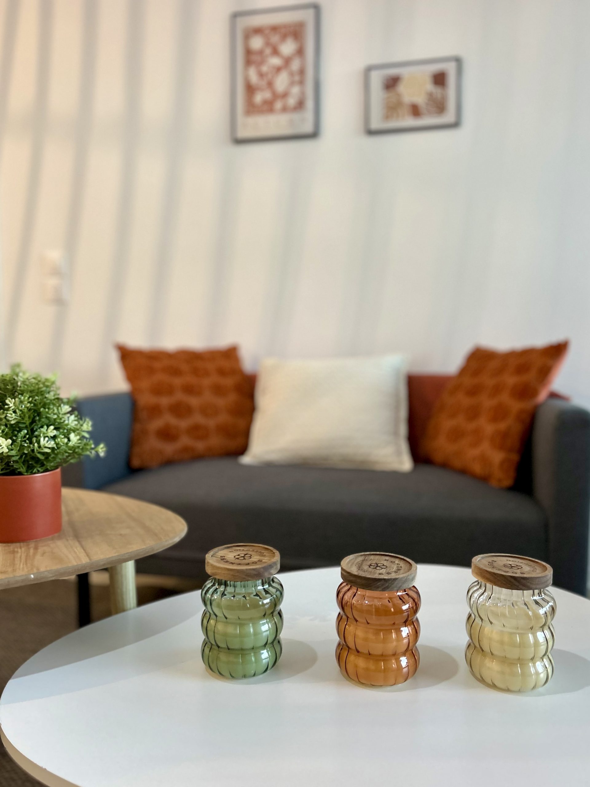 Oaklands Park — Display suite handover — photo 4